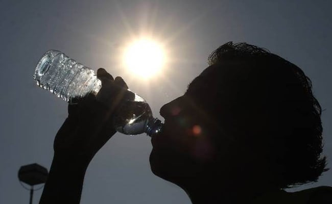 "El Niño" será uno de los más fuertes de la historia este 2026, prevén; es muy probable que persista hasta la primavera