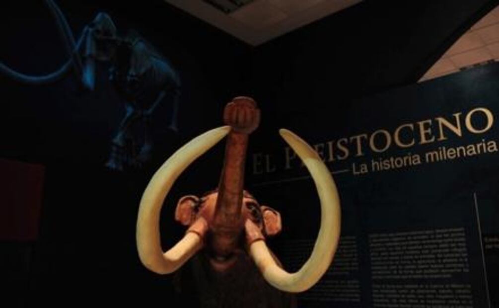 Museo reunirá la cultura e historia de Azcapotzalco