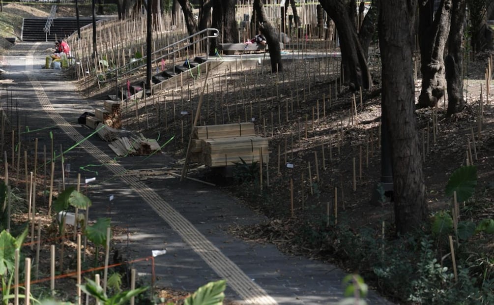 Foto: Fernanda Rojas/EL UNIVERSAL.