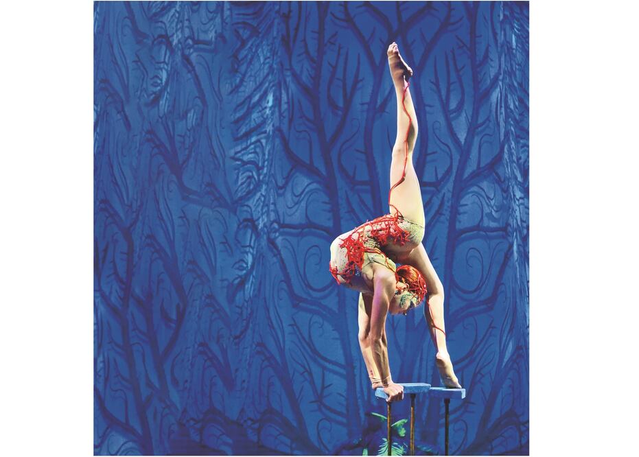 Fundado en 1980, fue el primer circo caracterizado por no usar animales. Fotos: CIRQUE DU SOLEIL