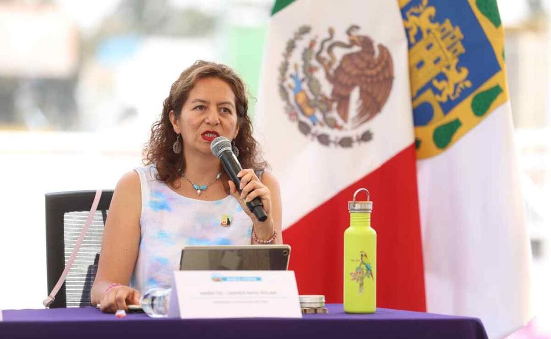 María del Carmen Nava, comisionada del Instituto de Transparencia de la CDMX, María del Carmen Nava / Foto: Especial