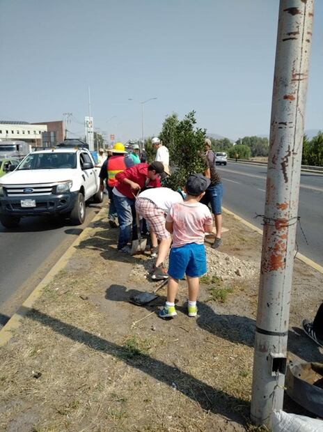 Vecinos plantan árboles en Pachuca tras contingencia