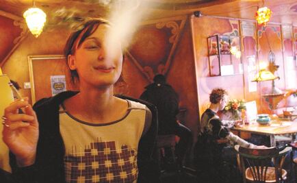 Países Bajos buscan contener daños