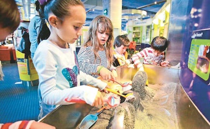 Derecho de niñas, niños y adolescentes a conocer las sentencias que los involucran