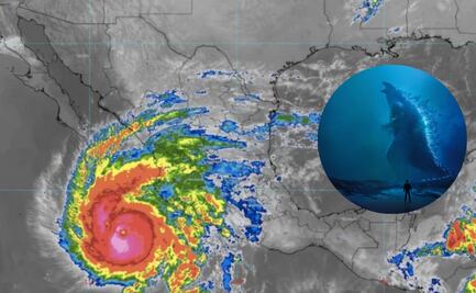 ¿Qué es el “Niño Godzilla”?; el fenómeno climático extremo que podría impactar en 2026
