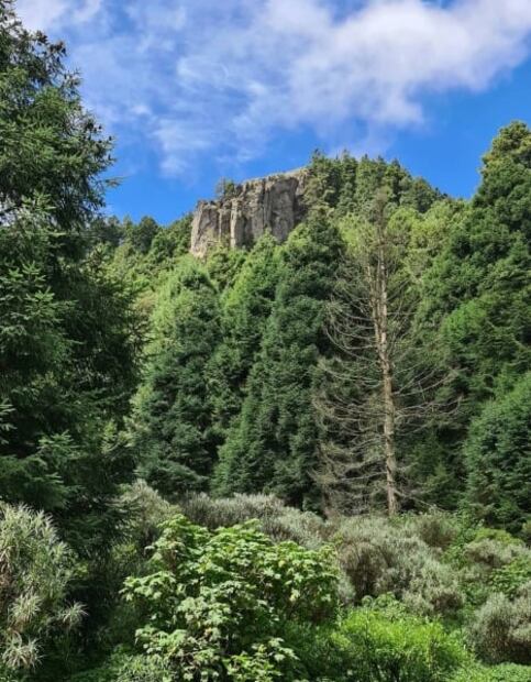 Las Manzanas, cabañas en el bosque a 1 hora de CDMX 