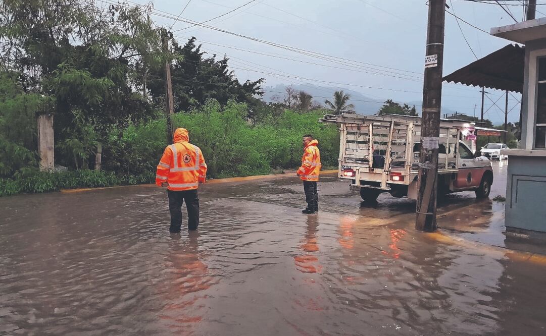 Las lluvias provocadas por la tormenta tropical Mario dejaron inundaciones, caídas de árboles y cortes de energía; elementos de Protección Civil no ha reportado daños materiales severos ni tampoco pérdidas humanas. Foto Especial