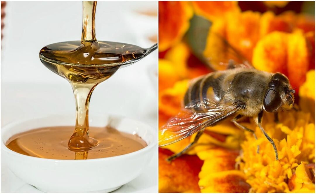  Descubre las mascarillas con miel que dejarán tu rostro resplandeciente   Foto: Cortesía