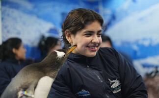 Cuánto cuesta ir al encuentro con pingüinos del Acuario Inbursa