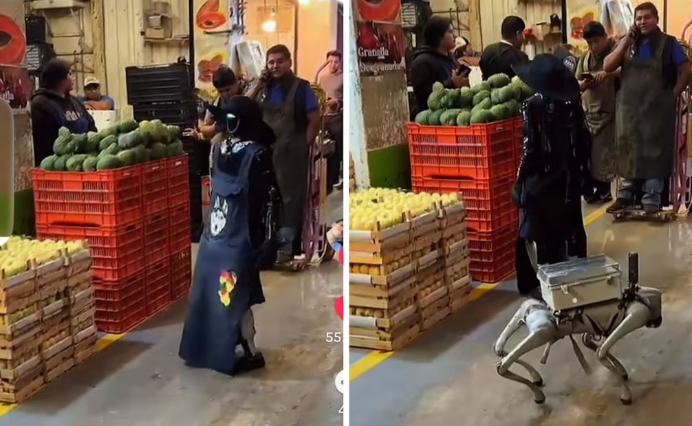 Foto: Captura de pantalla en TikTok