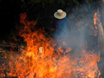 NASA capta cómo arde el amazonas desde el espacio