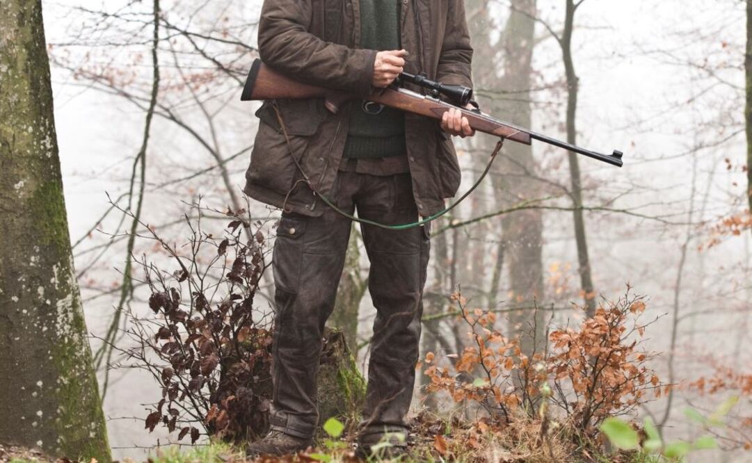 Imagen ilustrativa. Foto: Archivo/ EL UNIVERSAL