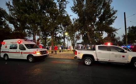 Incendio en San Juan de Aragón deja tres perros muertos; atienden a mujer por crisis nerviosa