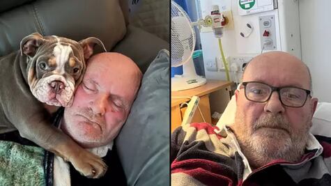 Perrito muerde el dedo del pie de su amo hasta el hueso y le salva la vida