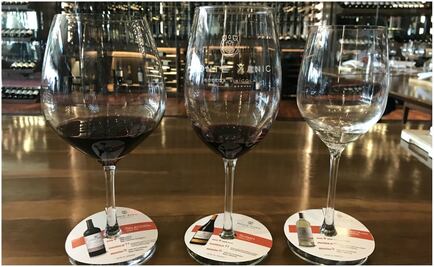 El grandioso año de Monte Xanic