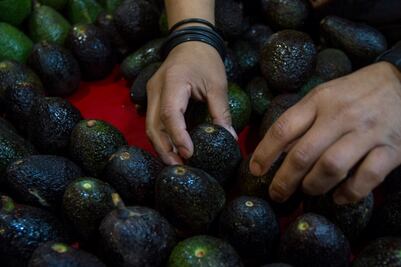 Aguacate, lo que más bajó de precio: Profeco