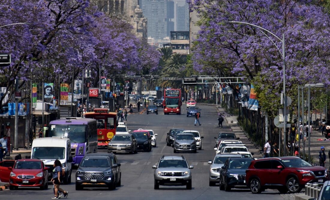 Imagen ilustrativa. archivo/EL UNIVERSAL