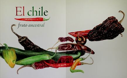 De chile, cultura y un relato erótico náhuatl