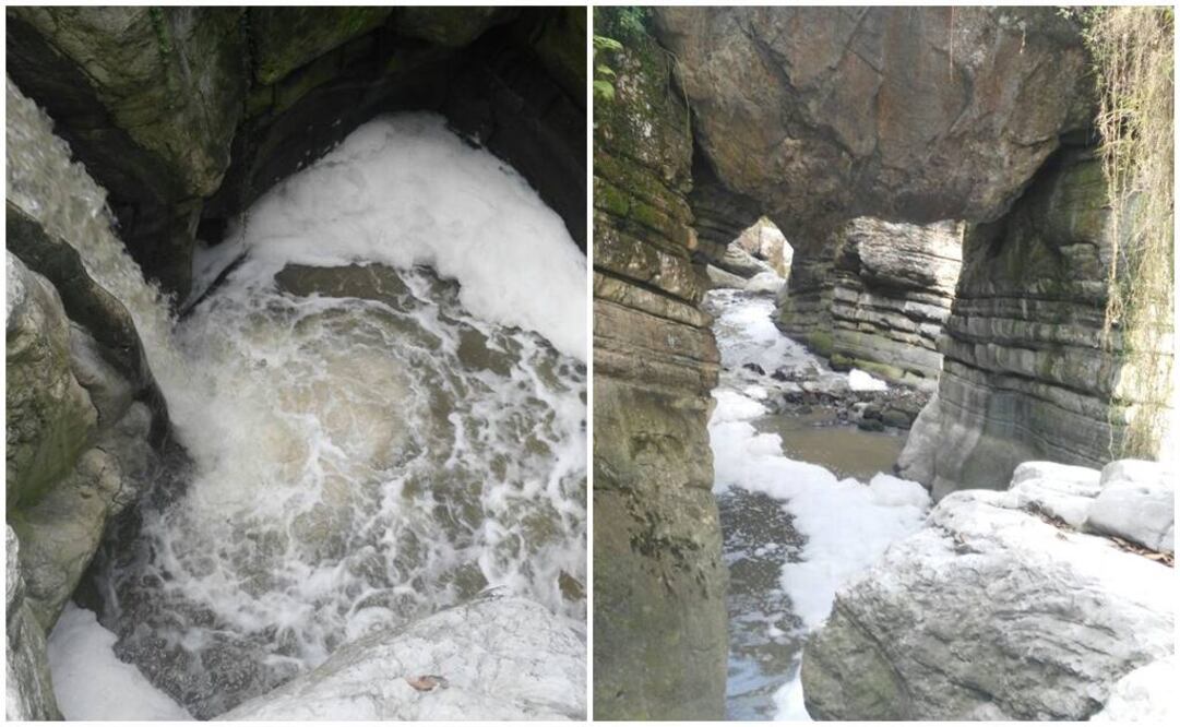 Fotografías cortesía de El Buen Tono