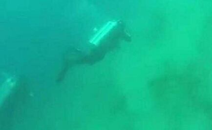 Así es como se ve un sismo desde el lecho marino