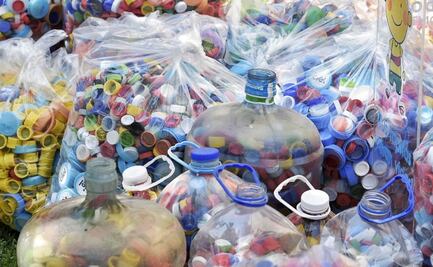 Contaminación por plásticos llega hasta tejidos y órganos humanos