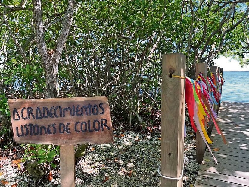 Cuando el problema o la necesidad es resuelta, se debe volver a la isla a dar gracias y colocar un listón de color con un mensaje de gratitud. Foto: Patricia Morales