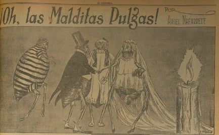 Hace 100 años, un circo de pulgas en México ayudó a explicar qué causa la tifoidea