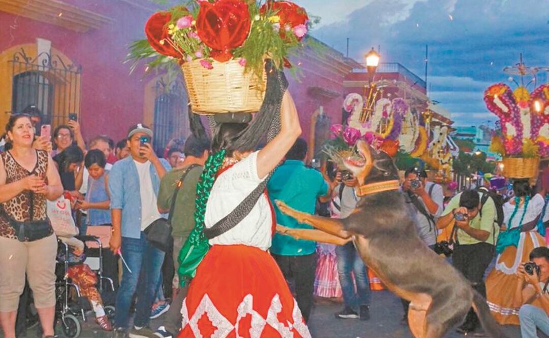 La denuncia. Rufino Guillermo Méndez asegura que se está coartando el derecho del perrito a “salir y bailar en el Zócalo y la Alameda”. Foto: EDWIN HERNÁNDEZ. EL UNIVERSAL