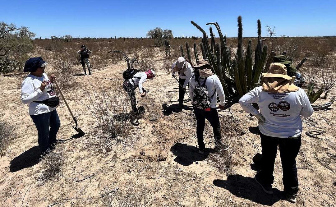 La iglesia católica enfatizó que en México hay más de 100,000 personas desaparecidas, de acuerdo con el Registro Nacional de Personas Desaparecidas y no Localizadas. Foto: EFE