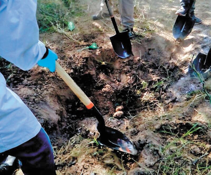 De mayo a la fecha,el colectivo Madres Buscadoras de Sonora ha localizado 67 cuerpos; 49 han sido ubicados en Puerto Peñasco. FISCALÍA DE SONORA