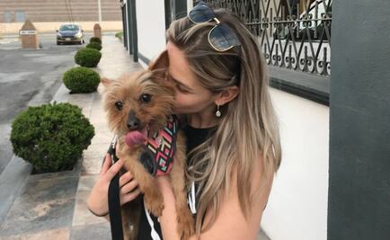 La odisea para encontrar a la perra Paquita