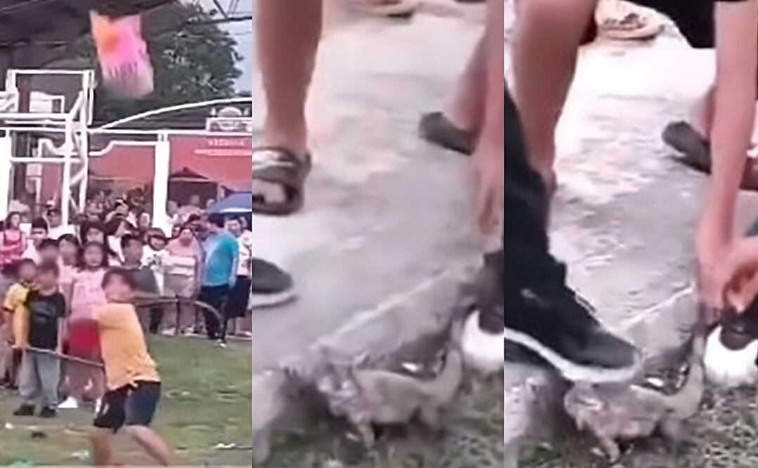 Niños rompen piñata con iguanas, serpientes y zorros vivos en Calkiní, Campeche. Foto: Captura de video