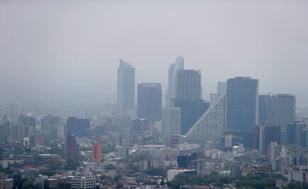 "Excremento de perro e industria, problema de fondo en contingencia"