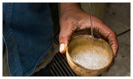 ¿Conoces al bacanora y al comiteco? ¡También son destilados del agave!