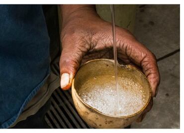 ¿Conoces al bacanora y al comiteco? ¡También son destilados del agave!