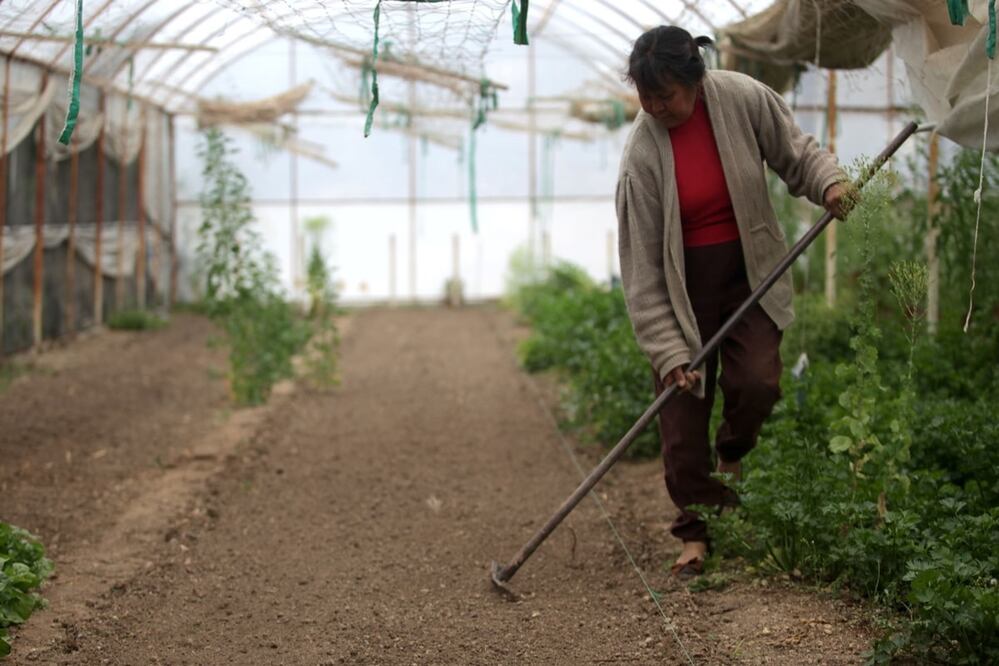 Foto: Archivo/EL UNIVERSAL