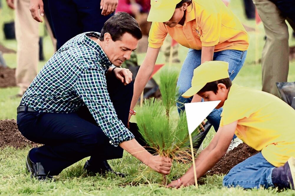 Al celebrar el Día del Árbol y poner en marcha la Campaña Nacional de Reforestación 2016, el Presidente explicó que su administración tiene como meta reforestar un millón de hectáreas antes del año 2018 (PRESIDENCIA)
