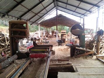 Plantaciones de aguacate están fuera de reserva de la monarca: Profepa