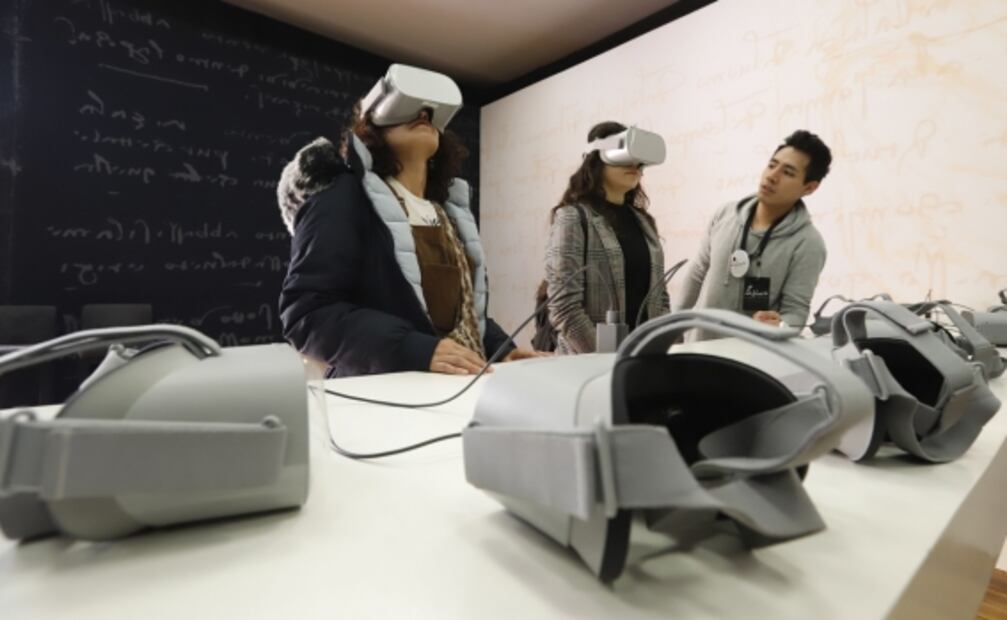 La muestra de Da Vinci: queja y gozo