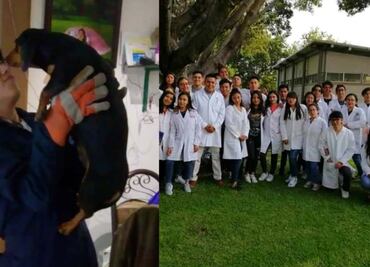 "Toñito no ve, no escucha y no puede mover su cuerpo": recibió bala perdida de policía en Ixtapaluca