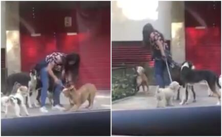 Video. Paseadora golpea con cadena a perros en Polanco
