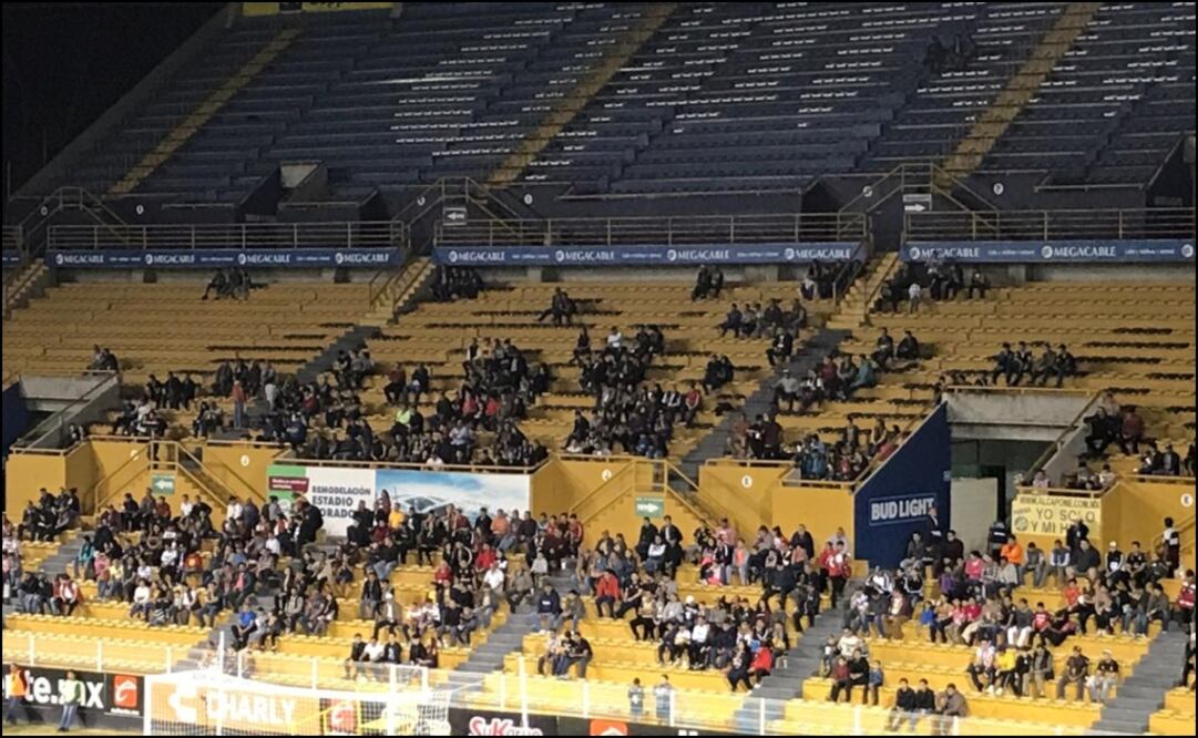 Poca afición al Gran Pez en la casa de los Dorados | Especial