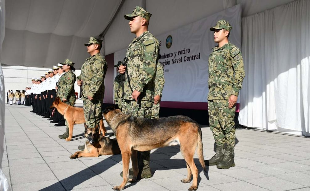 Semar rinde homenaje a Niko, Hunter e Hidra, elementos caninos que concluyen su servicio. Foto: Especial
