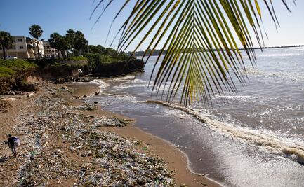 Educación climática está ausente en la mayoría de países de América Latina