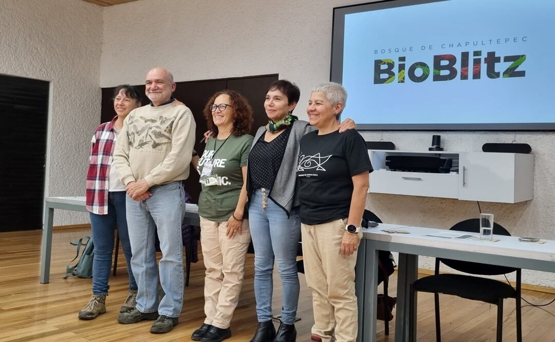 Chapultepec será escenario del primer BioBlitz para documentar su biodiversidad: Sedema. Foto: Frida Sánchez