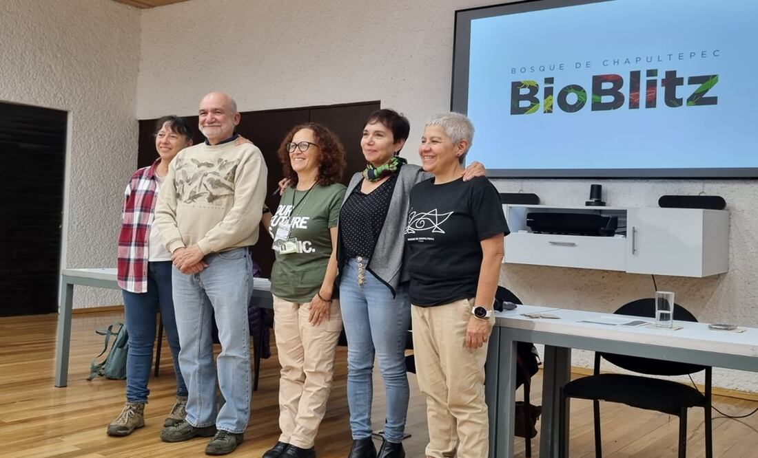 Chapultepec será escenario del primer BioBlitz para documentar su biodiversidad: Sedema. Foto: Frida Sánchez