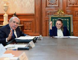 Postura de PT y PVEM en reforma electoral, hasta ver la iniciativa