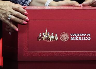 Hay cosas que no nos cuadran en el Paquete Económico 2024, advierte Instituto Mexicano de Contadores