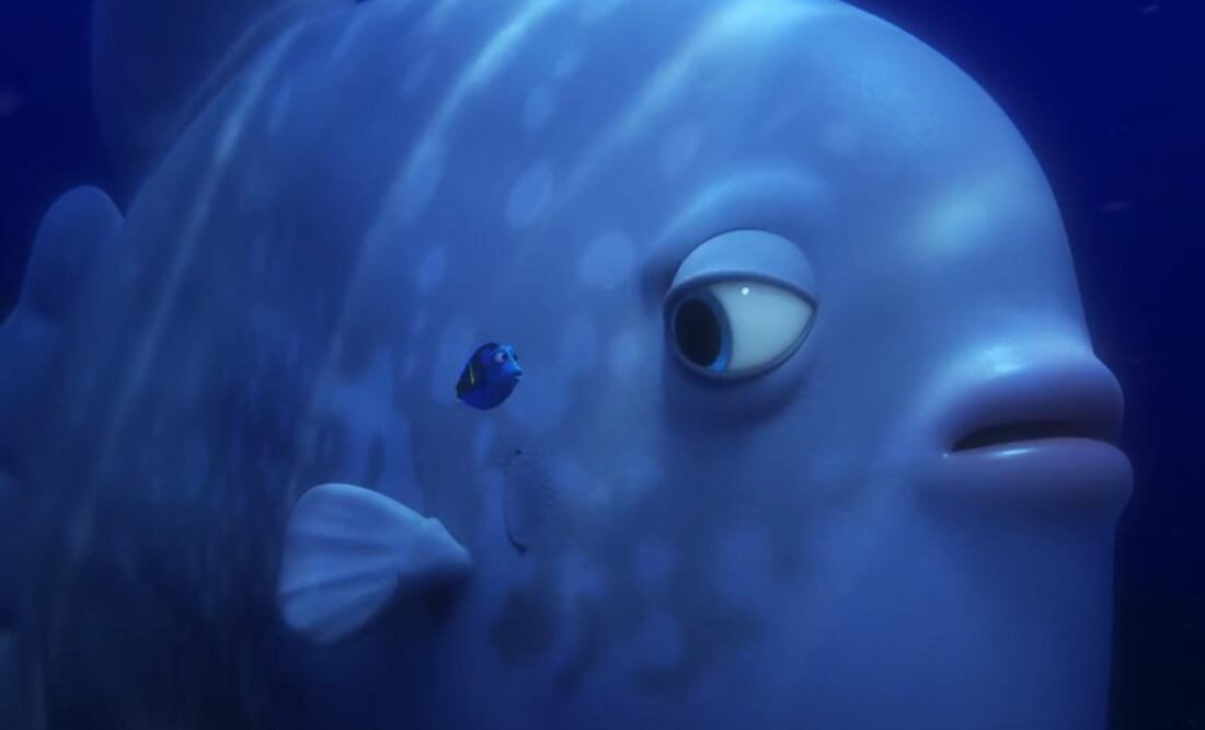 FOTO: Captura de pantalla