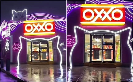¿Dónde está el "michi-Oxxo", la sucursal mexicana que es viral en TikTok?